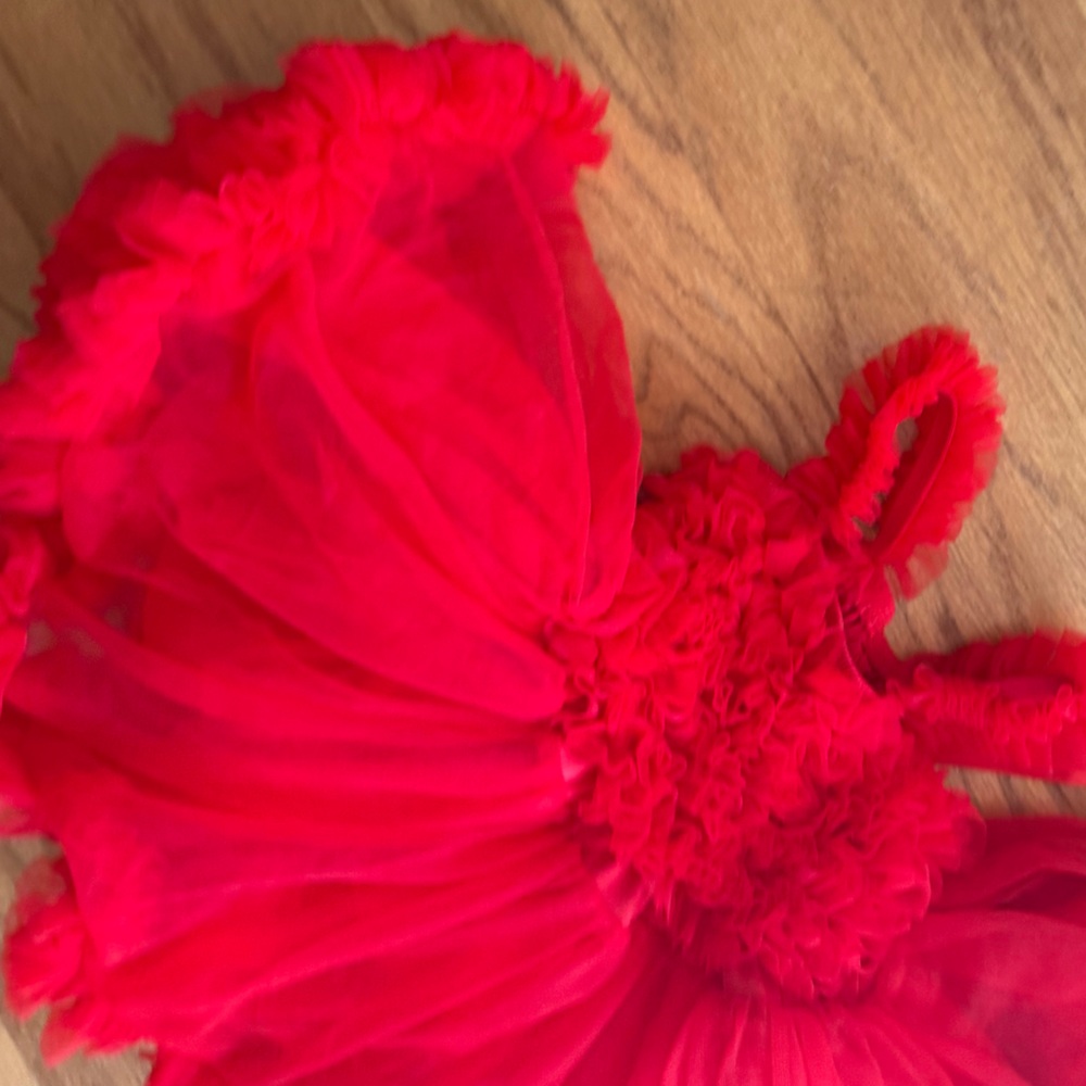 Ruffle Butts Red Tulle Baby Dress - Size 0-12 months - Picture 13 of 15